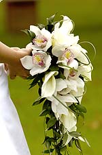 Warren James Palmer, Wedding Photographers in Hampshire, based in Abbotts Ann near Andover, 
