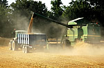 Warren James Palmer, Photographers in Hampshire, based in Abbotts Ann near Andover,